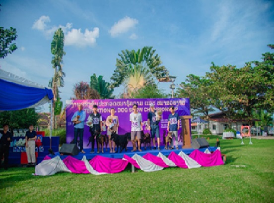 Dog show event